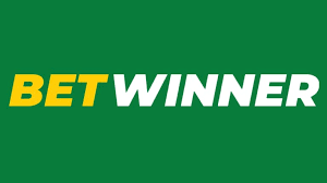 Discover the BetWinner Betting Platform An Ultimate Guide